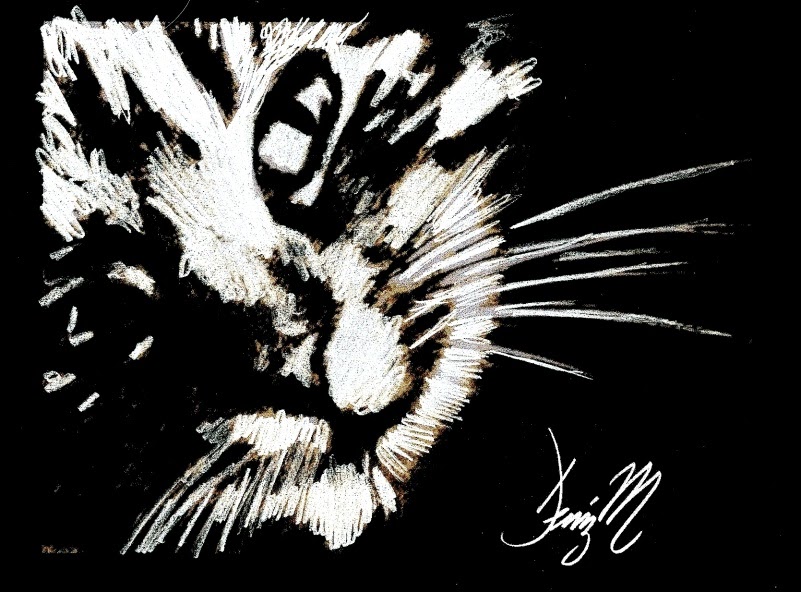 Vladimir�in derdi Gözleri Parlayan Kedi