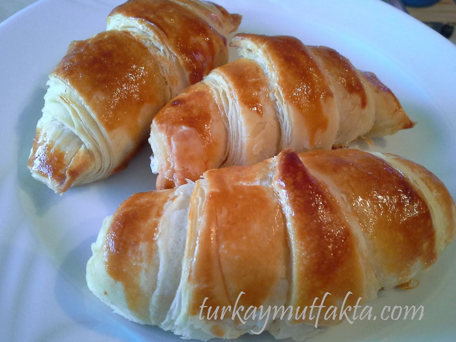 MAYALI SİGARA BÖREĞİ türkaymutfakta