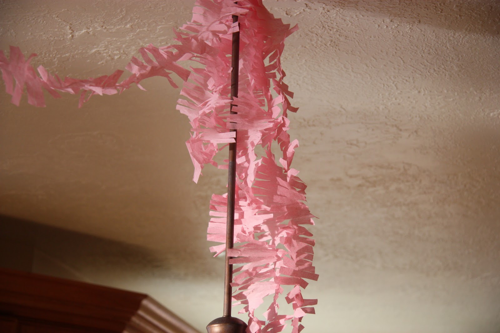 Fringey Streamers Twist Me Pretty