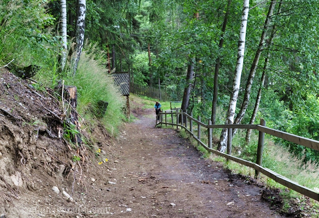 Camino de Nidaros