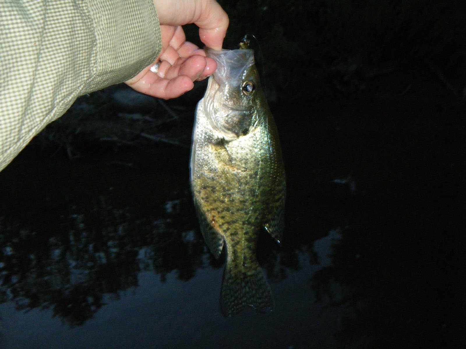 Fishing Adventures Night of the Crappie