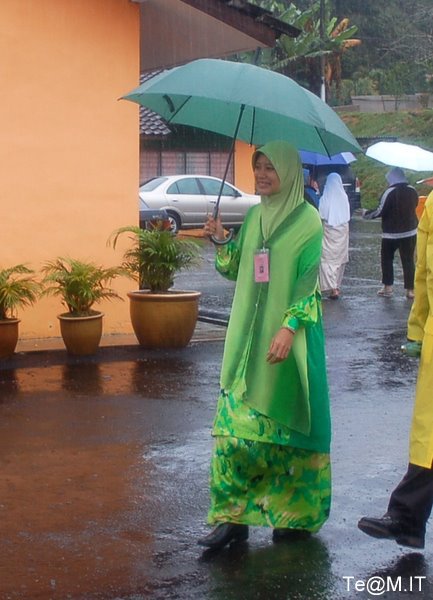Tempik-Jawa http://www.pic2fly.com/Tempik-Jawa.html