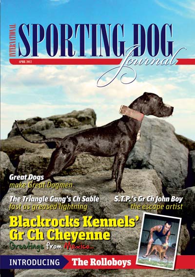 sporting journal world maio 2013 sporting journal world maio 2013