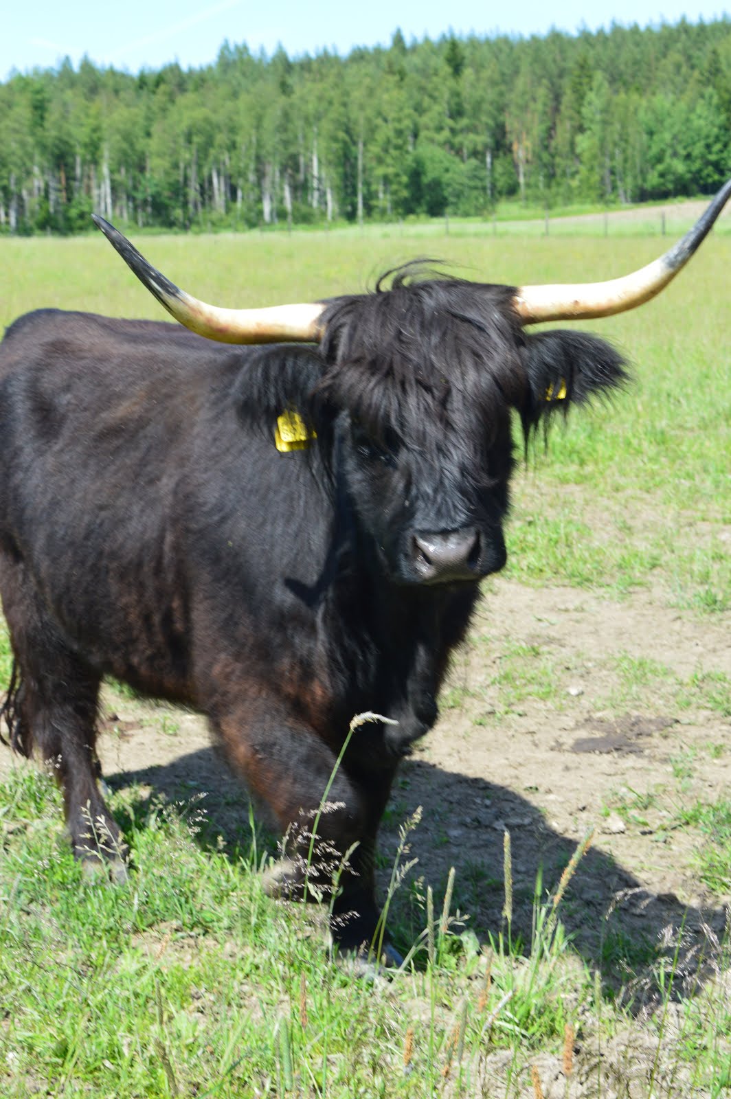 Välkommen till vår sidan! / Tervetuloa sivuillemme!