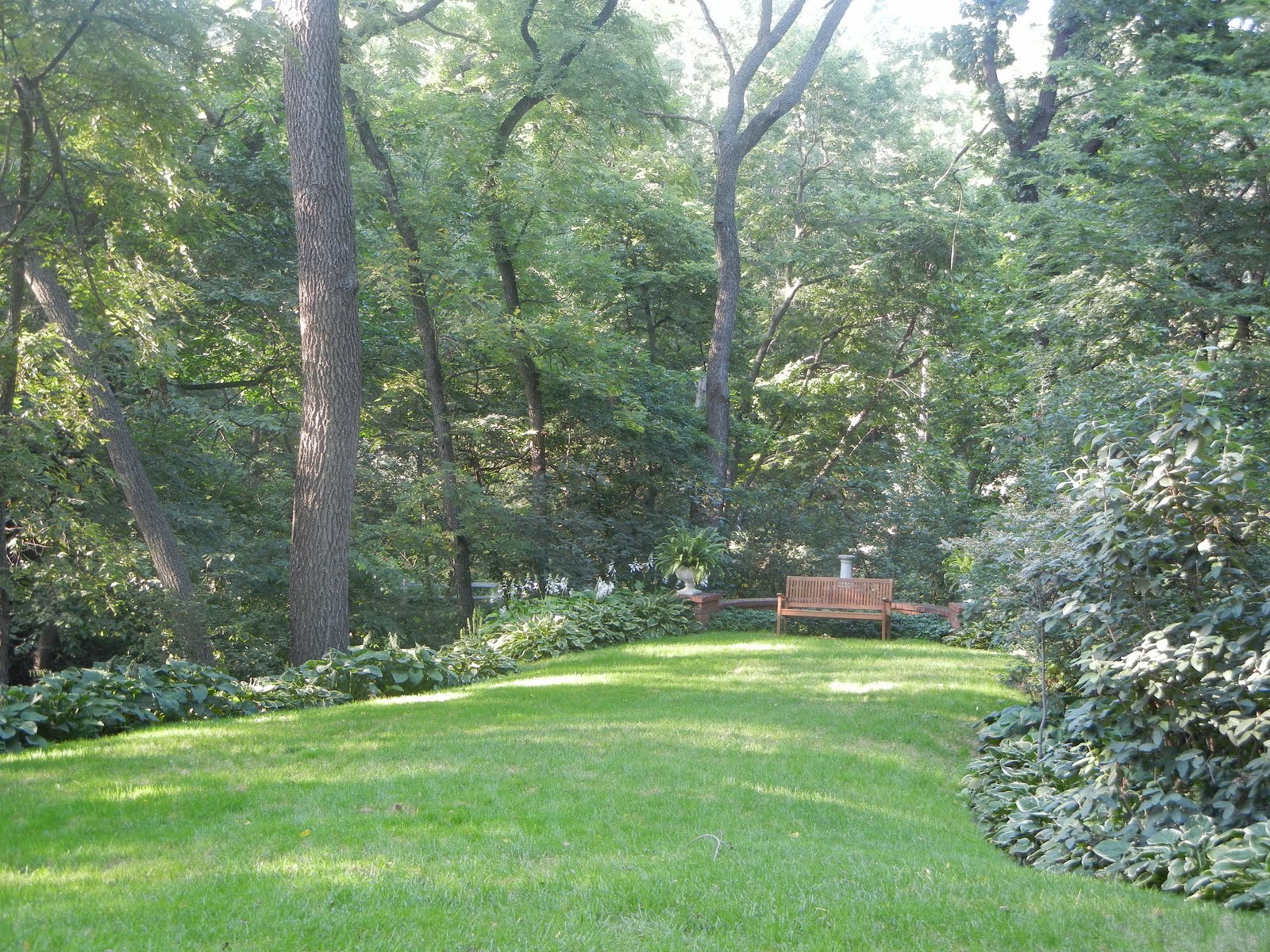 The French Tangerine kelly's garden