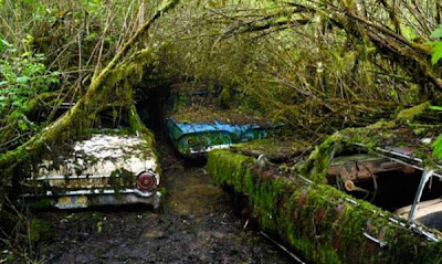 Carros Abandonados