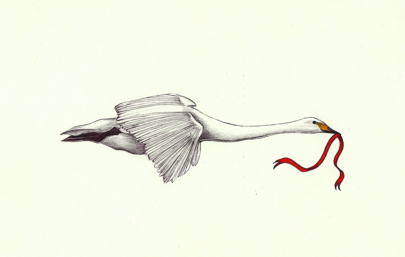 A Drawing a Day for a Year: October 13, 2011 - Flying Swan A Drawing a Day for a Year: October 13, 2011 - Flying Swan