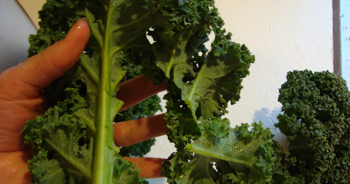 Ashley's Green Life Peachy Kale Smoothie Recipe (Video)