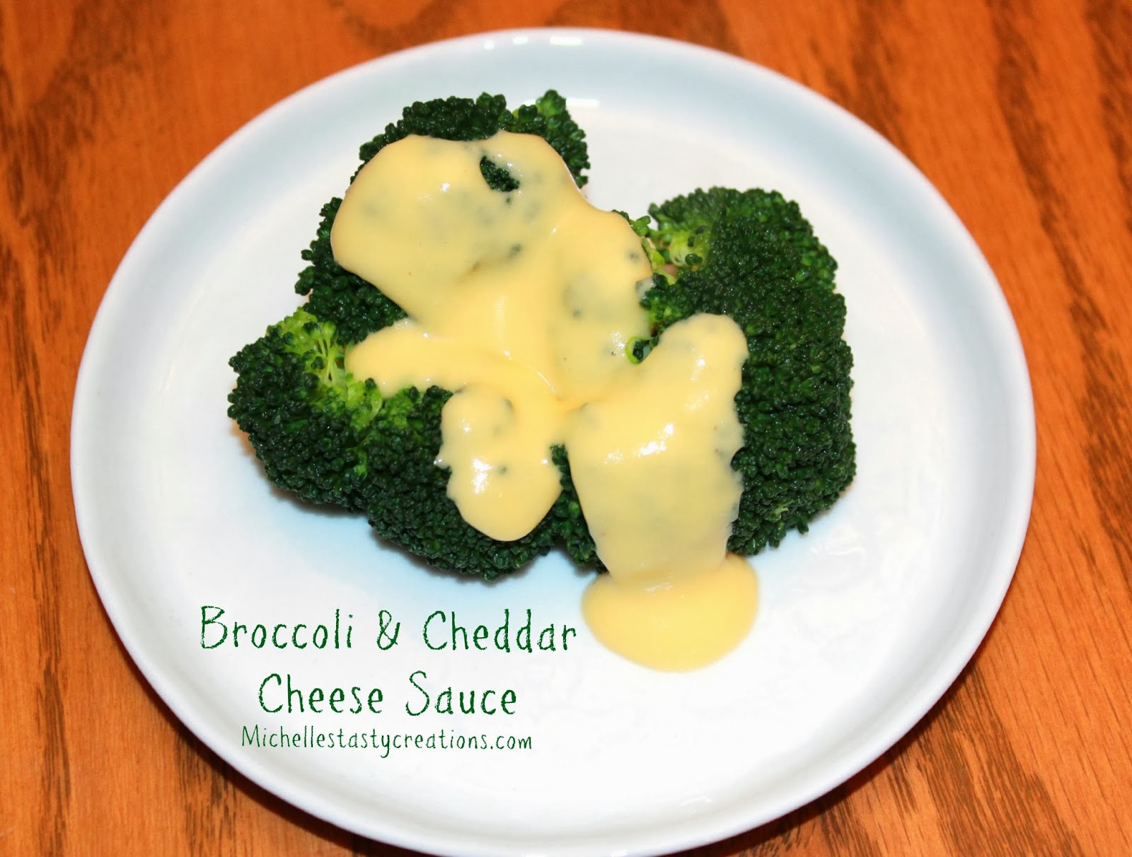 Michelle's Tasty Creations Broccoli & Cheddar Cheese Sauce