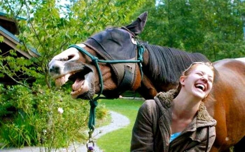 Horse+And+Girl+Laughing.jpg