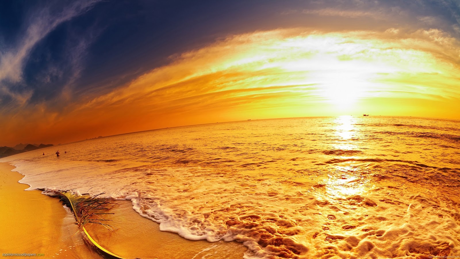 marvelous beach sunset fish eye hd desktop widescreen wallpaper