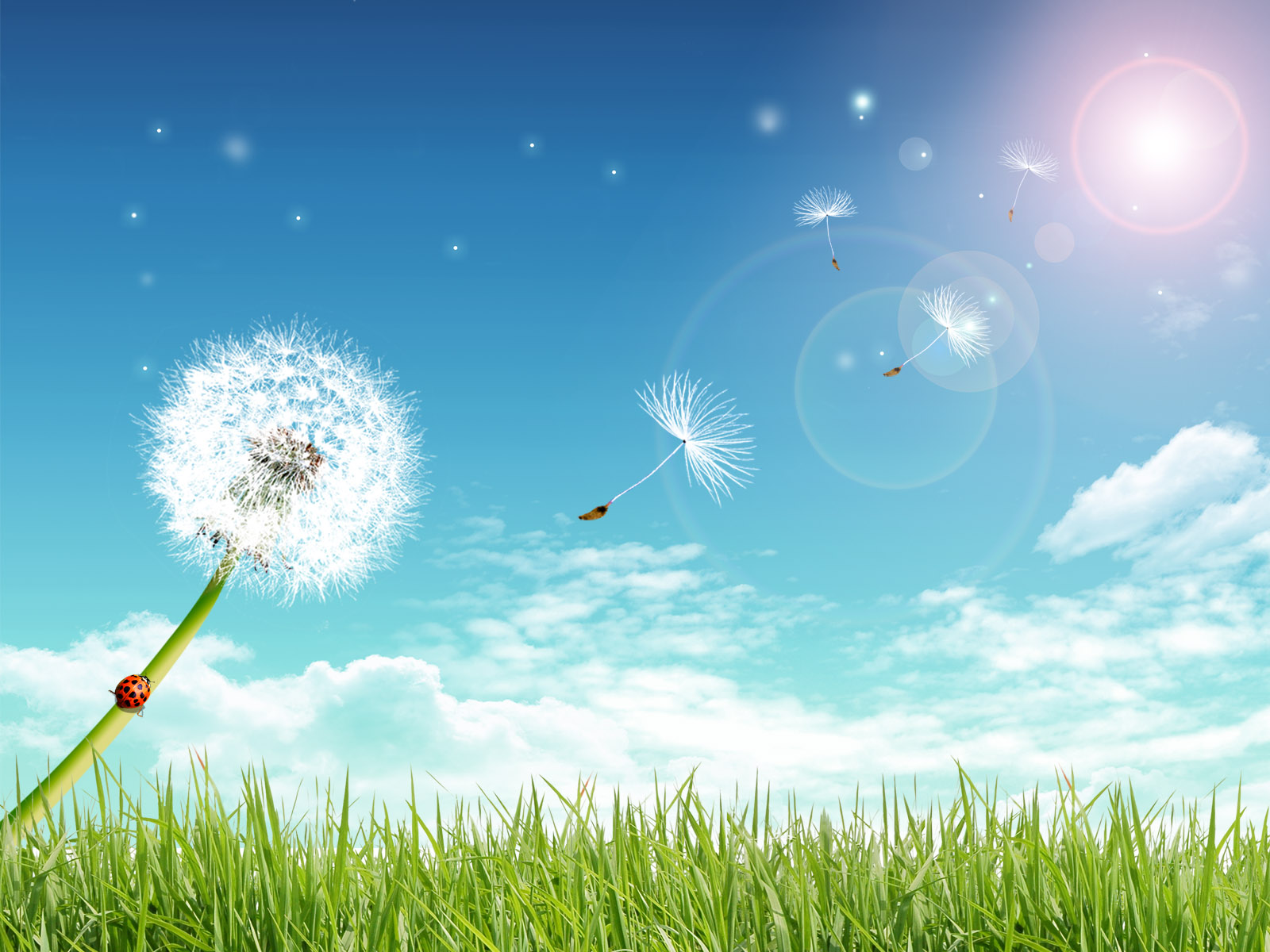 http://2.bp.blogspot.com/-LkGc3SGUxHI/TfI3jGXpJhI/AAAAAAAAAUc/WEvpQQ5DnnY/s1600/photoshop_stock.jpg
