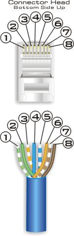 Computer Science and Engineering: CAT5 and CAT6 wiring