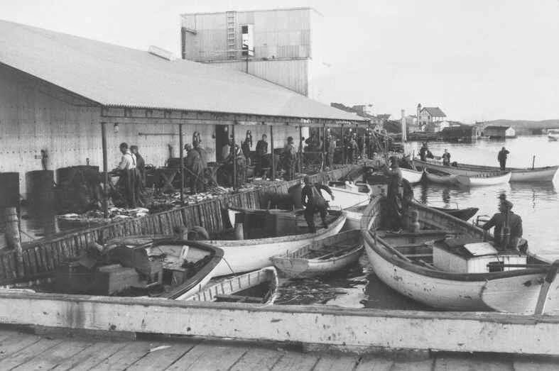 ICH Blog Heritage grant announced for documenting the historic NL fishery