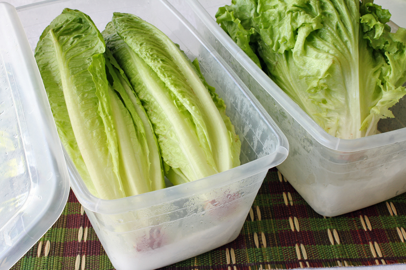 LearnSomethingNew Kitchen Tip Store Salad Greens For Weeks