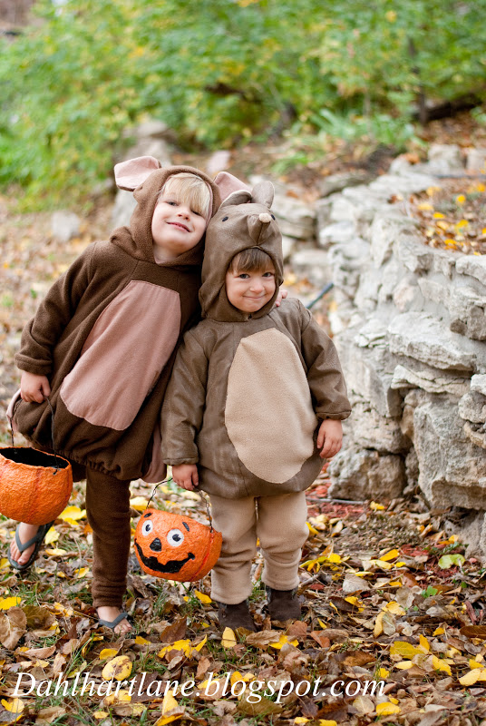 Dahlhart Lane Armadillo Costume