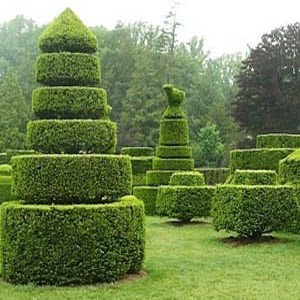 trend home interior design 2011: Design Garden Plants Exterior