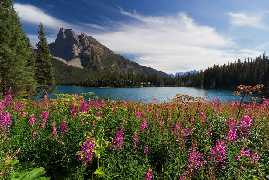 Resultado de imagen de Lago Emerald, Canadá