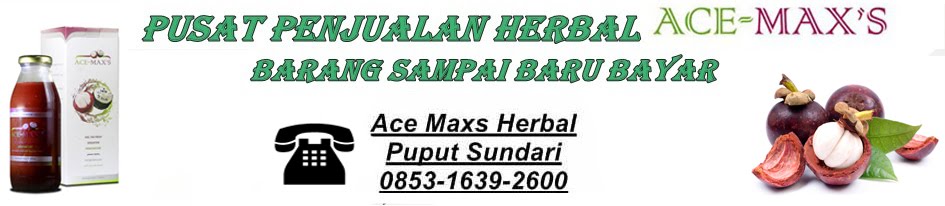 Gisa ACE MAXS Herbal Tasikmalaya