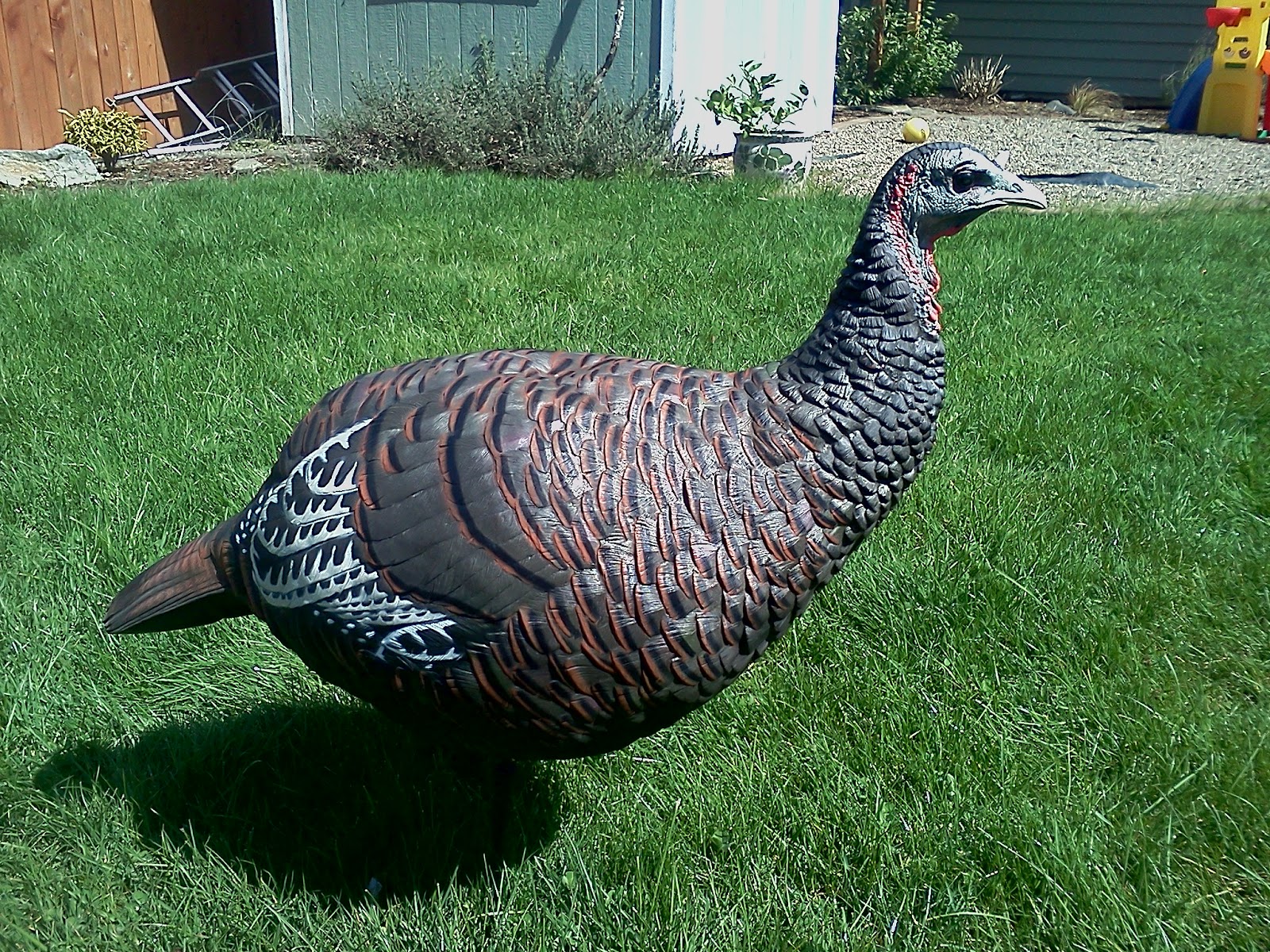Oregon Outdoorsman Zink AvianX Turkey Decoys