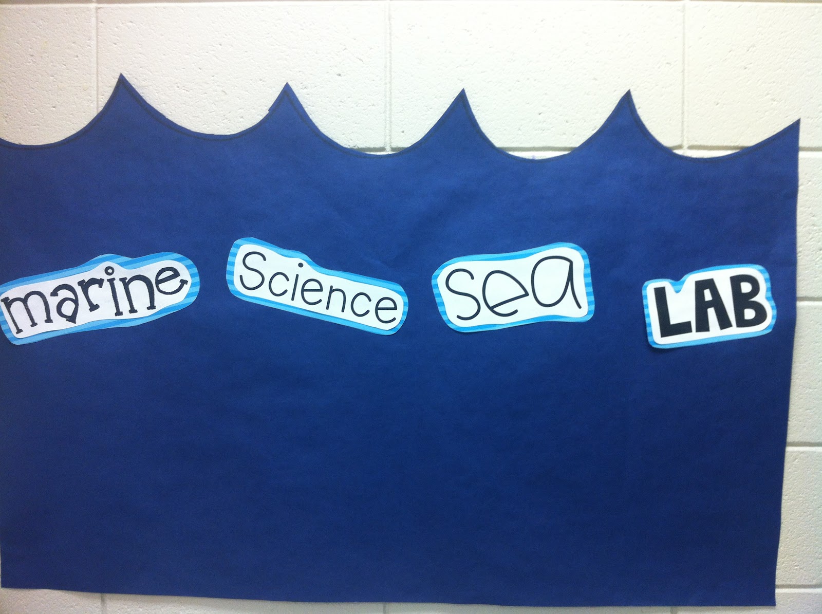 First Grader...at Last! Marine Science Sea Lab