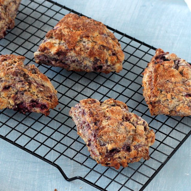 Kid Cultivation Whole Wheat Blackberry and Meyer Lemon Ricotta Scones