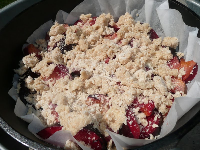 Everyday Dutch Oven German Plum Cake
