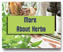 Learn about Herbs