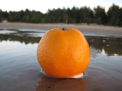 An orange with dimpled skin washed up on a beach