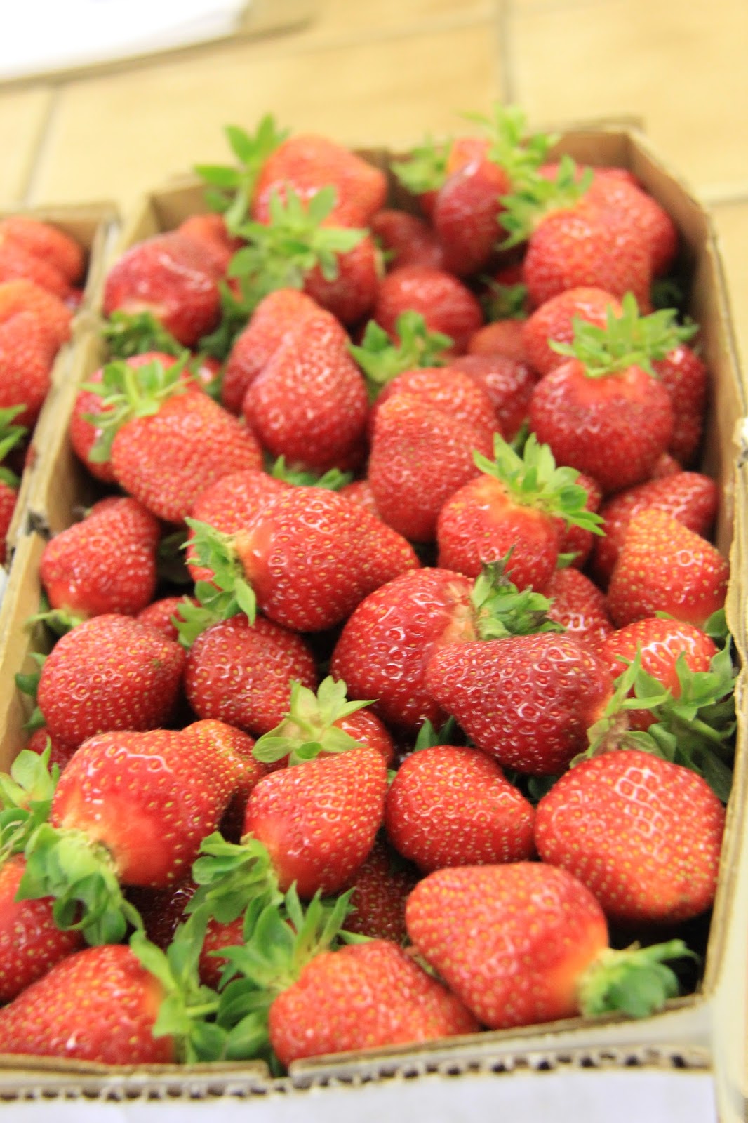 Stony Hill Farms CSA Strawberries