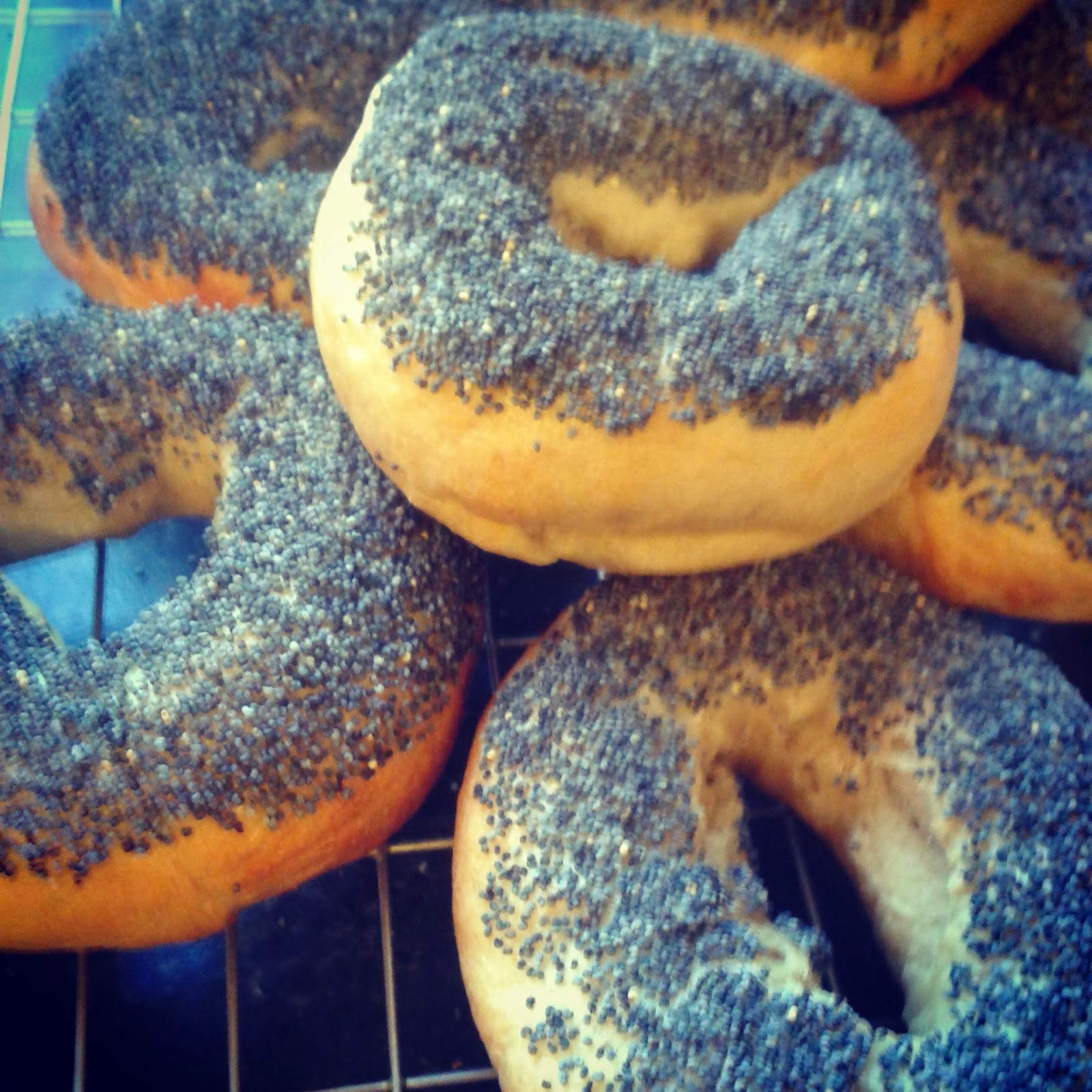 The Baking Ginger Poppy Seed Bagels