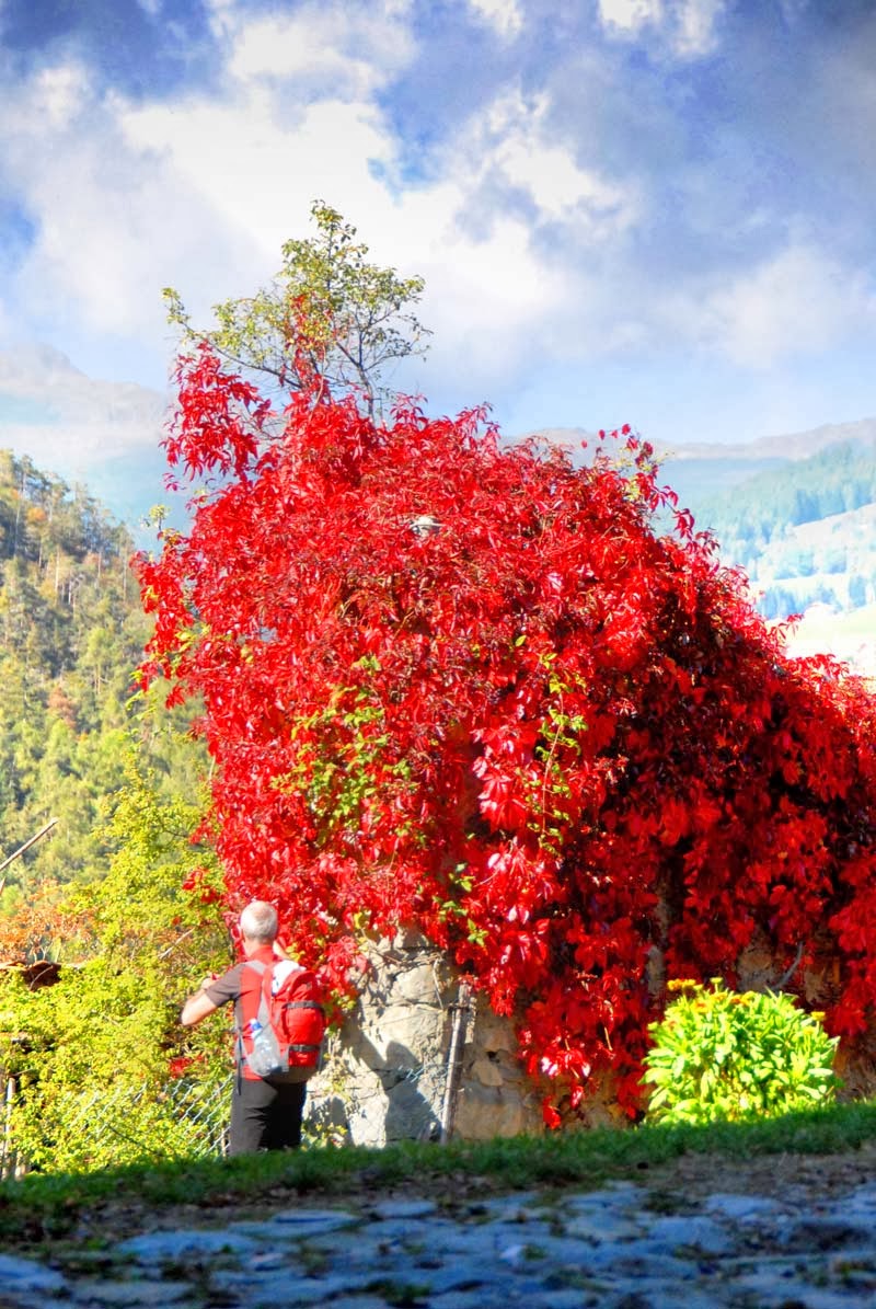 Http News Hub Dc5m Hce Project Com 2019 09 06 18 Deutschland De Mix Pdf