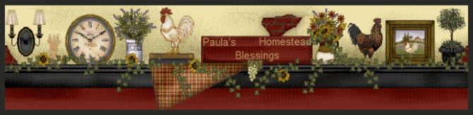 Paula's Homestead Blessings