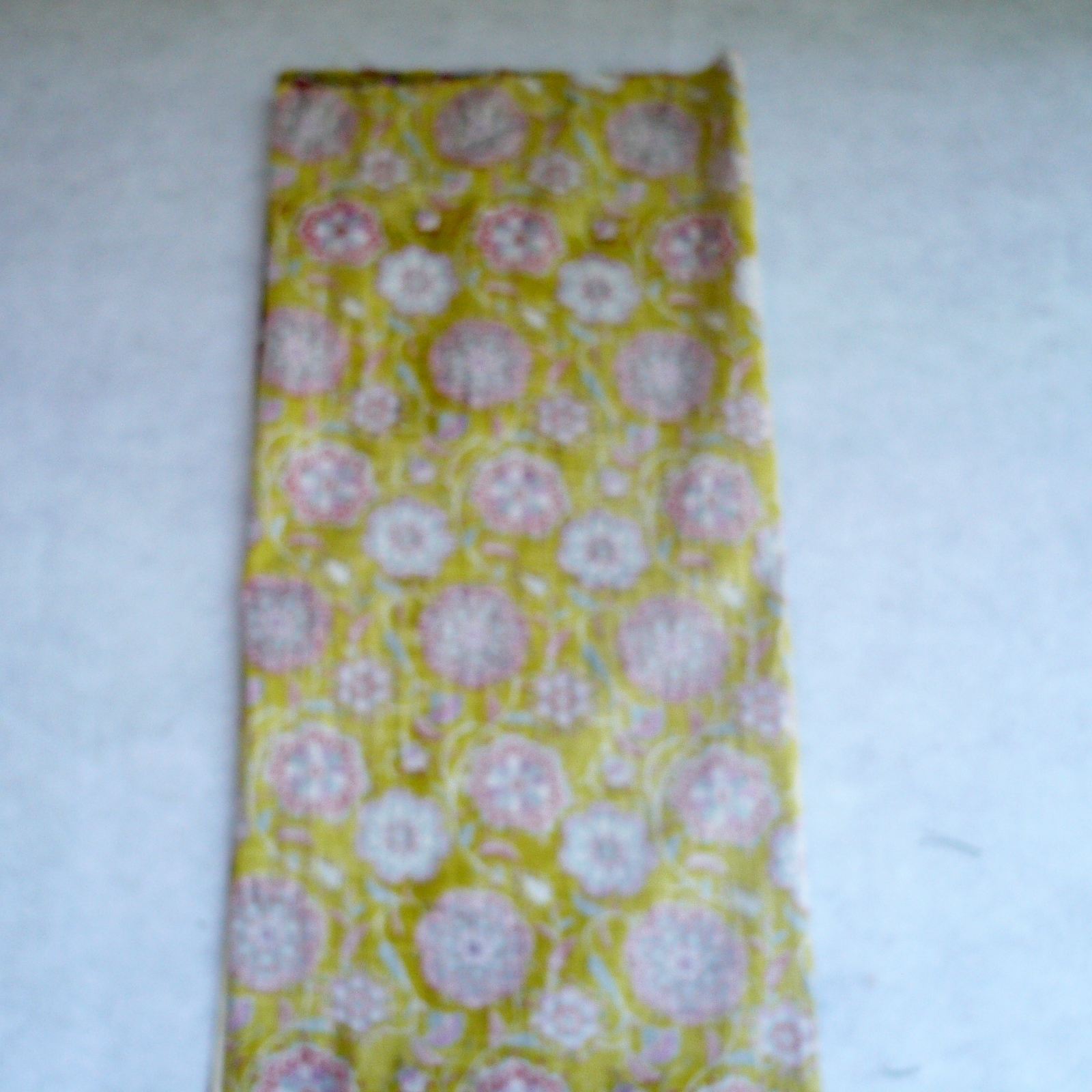 Fold F1 lengthwise in half.