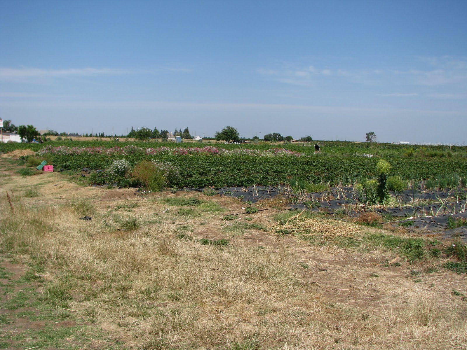 May 23 30 2011 Yuba City Ca And Surrounding Area