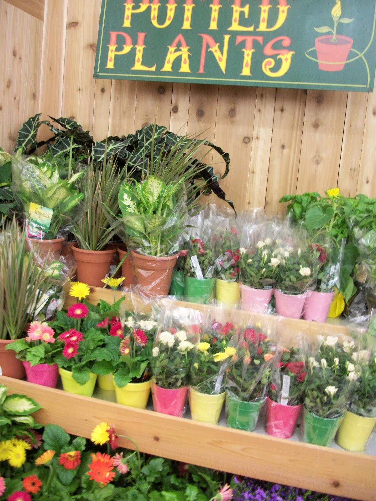 Writing Straight from the Heart A New Trader Joe's