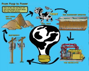 Najis Lembu Jana Elektrik