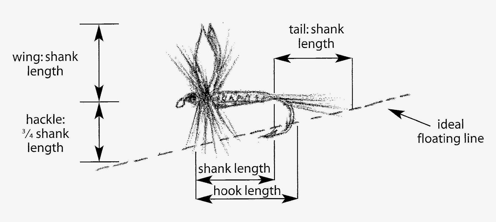 Fly Fishing with Doug Stewart Fly Tying Proportion Illustrations