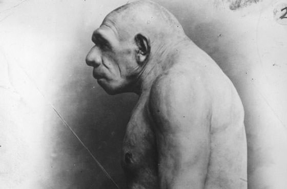 Neanderthal_profile2.jpg