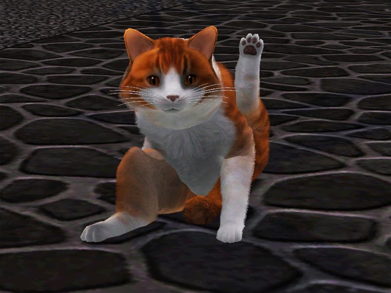 20.jpg