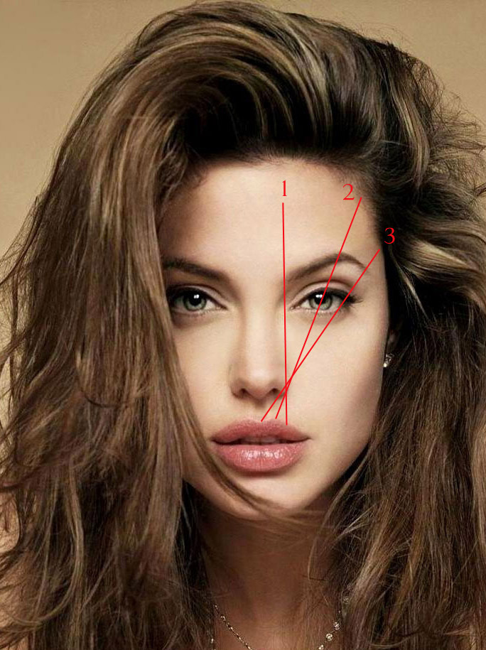 Angelina Jolie Brows
