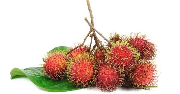Khasiat & Manfaat Buah Rambutan, Biji, Kulit Sebagai ...