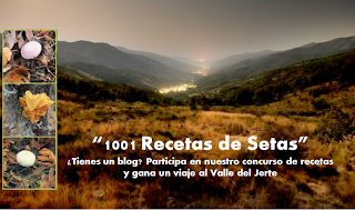 Concurso "Las 1001 recetas de setas"