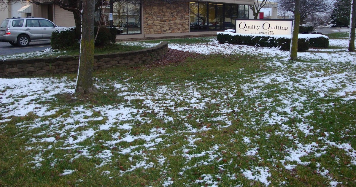 FABRIC THERAPY New Quilt Shop in Ann Arbor!!