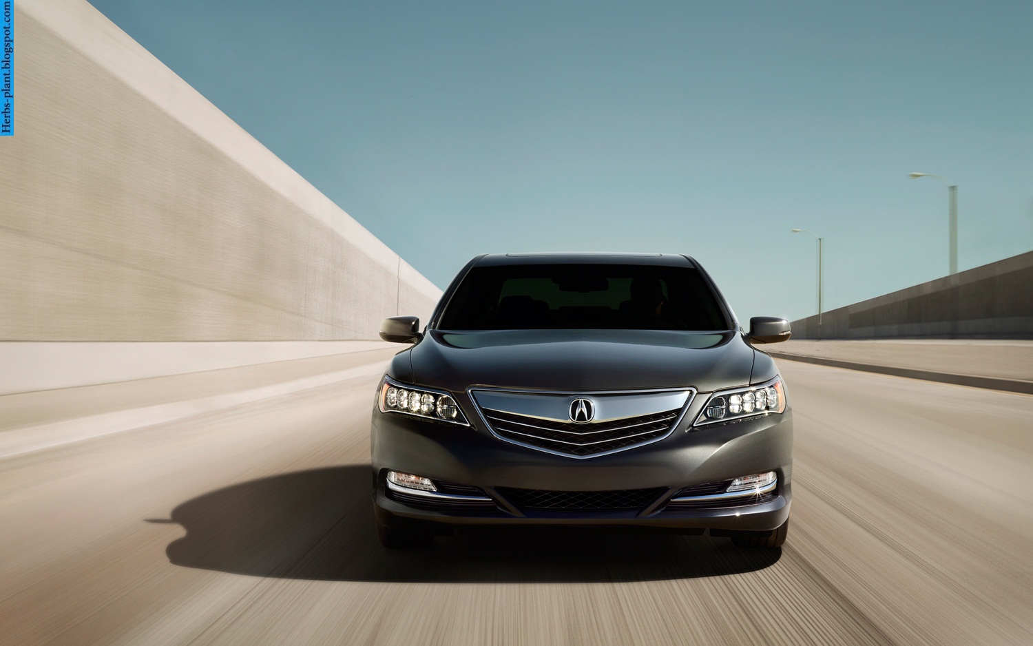 Acura rlx car 2014 front view - صور سيارة اكورا ار ال اكس 2014 من الخارج Acura rlx car 2014 front view - صور سيارة اكورا ار ال اكس 2014 من الخارج