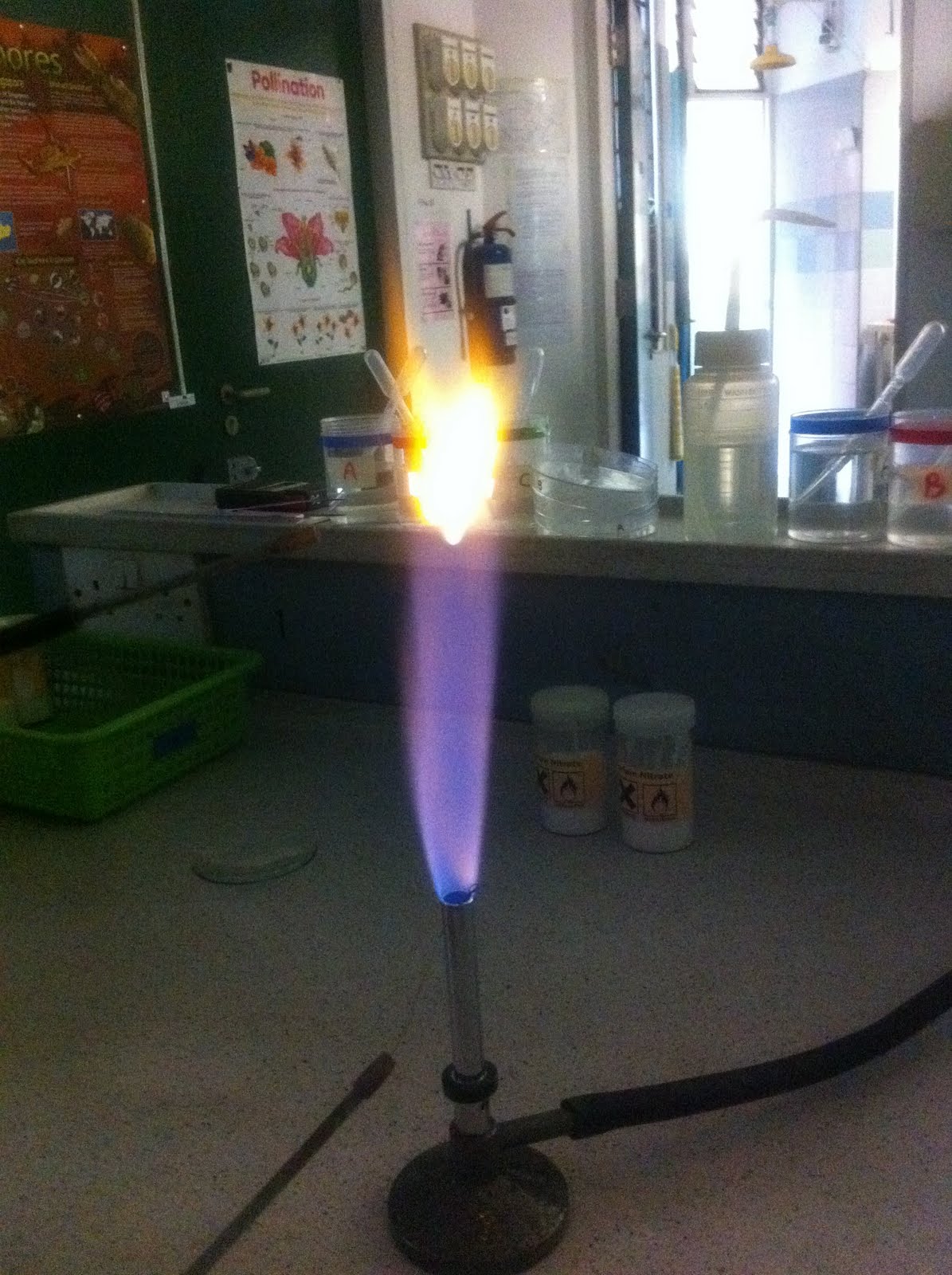 Crime Scene Investigation Chromatography and Flames
