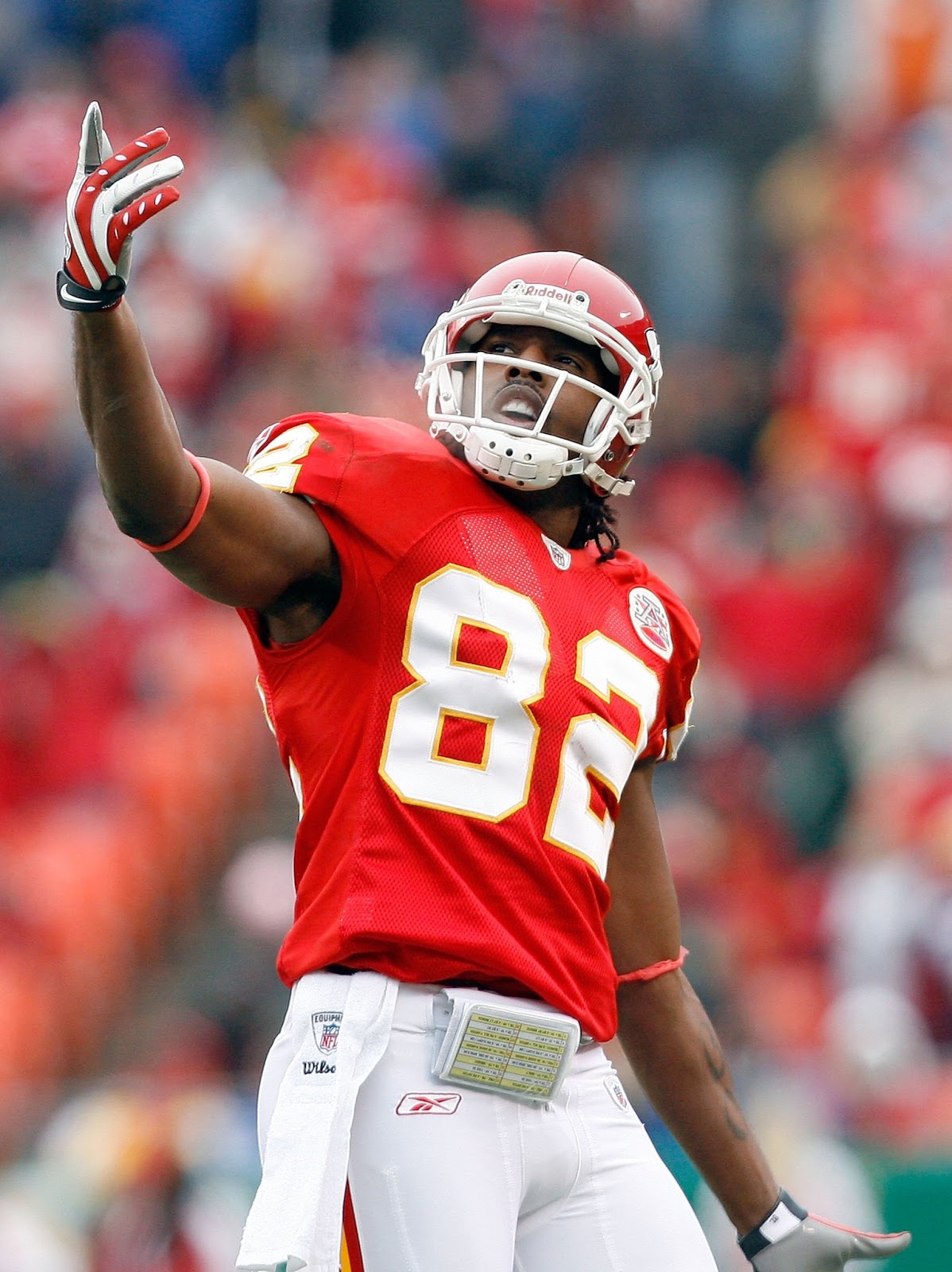 Pros and Cons of signing Dwayne Bowe
