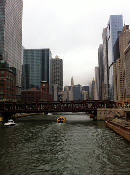 A great view of the Chicago river