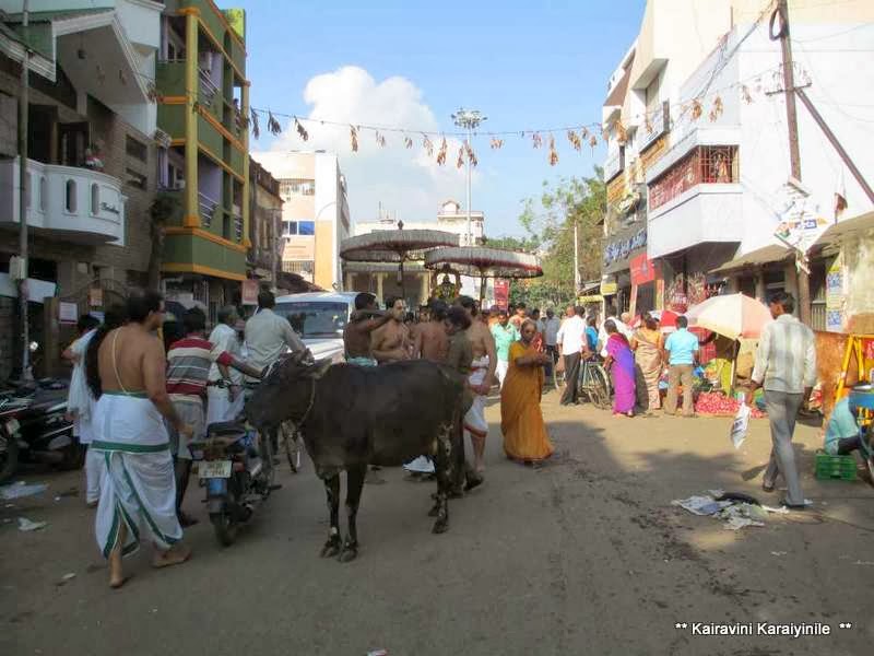Kairavini karaiyinile திரு அல்லிக்கேணி குளக்கரையோரம் Koodarai vellum