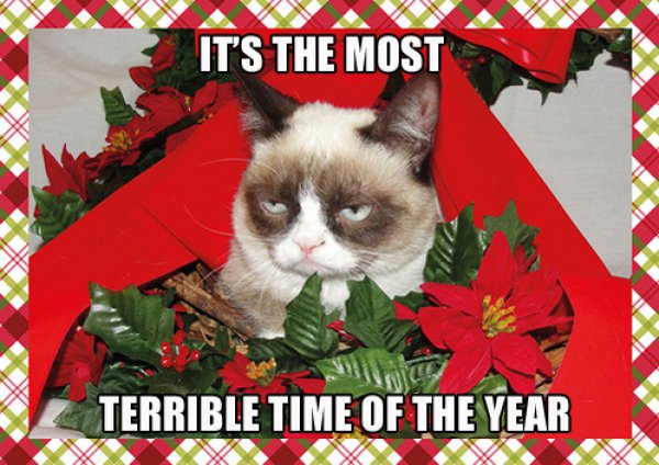 Grumpy Cat Christmas  Funny Collection World